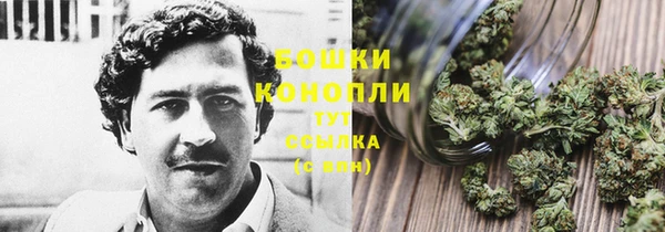 PSILOCYBIN Верхнеуральск