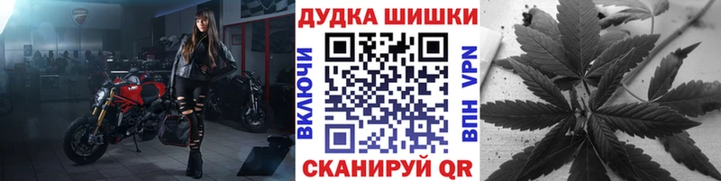 как найти   Калининград  Канабис планчик 